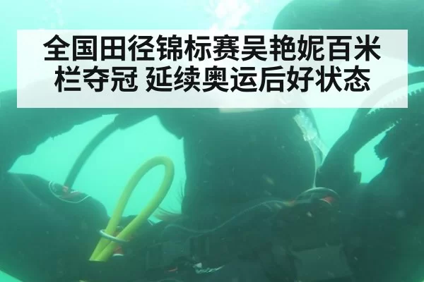 全国田径锦标赛吴艳妮百米栏夺冠 延续奥运后好状态