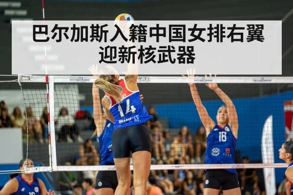 巴尔加斯入籍中国女排右翼迎新核武器